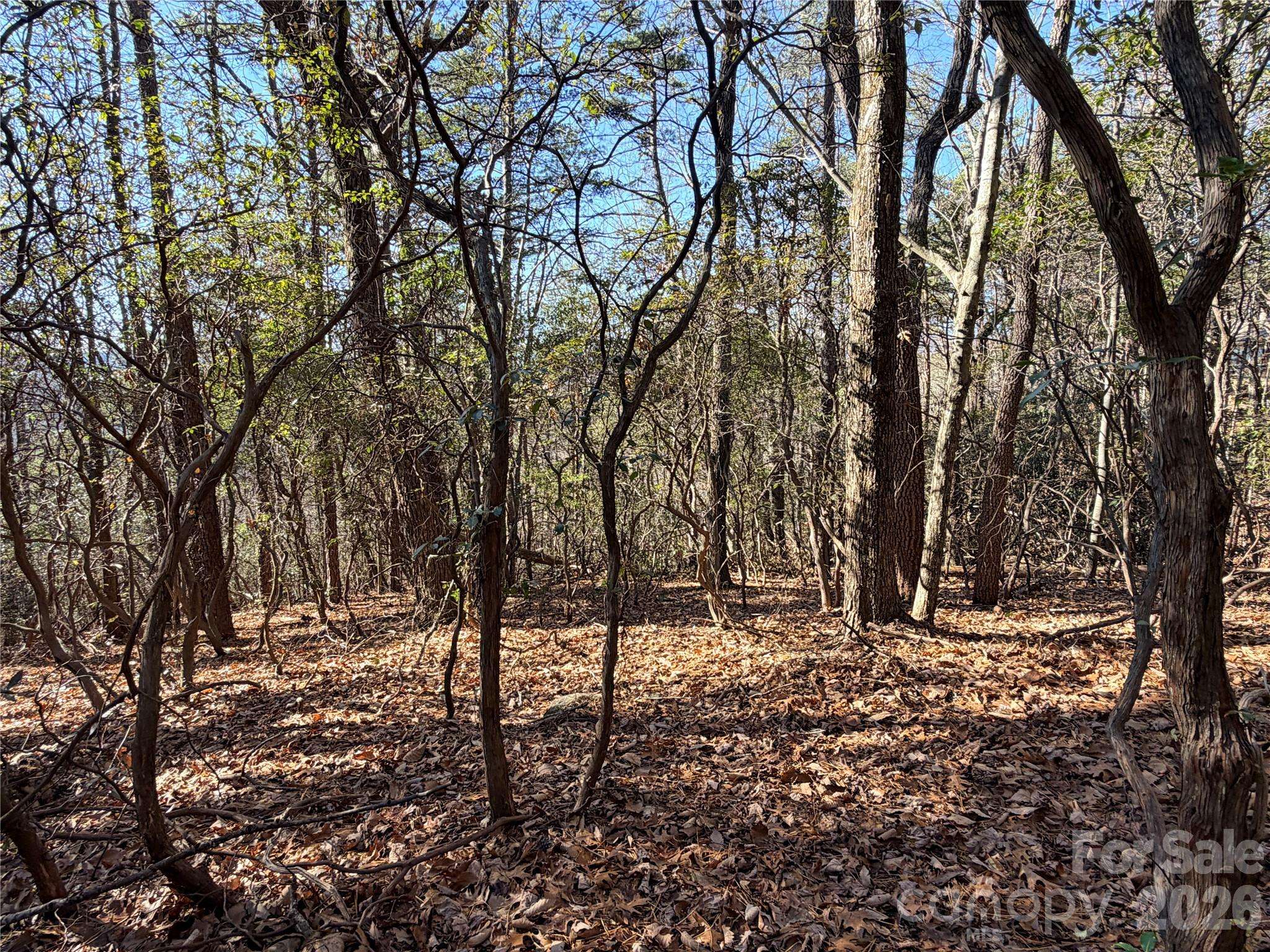 TBD Bobcat Mountain RD #27, Purlear, NC 28665