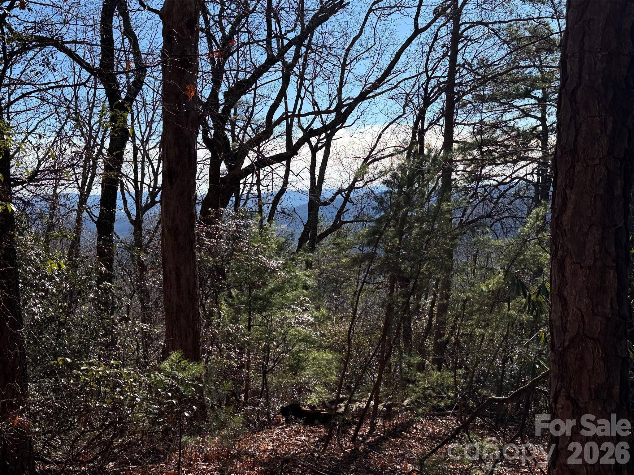 TBD Bobcat Mountain RD #27, Purlear, NC 28665