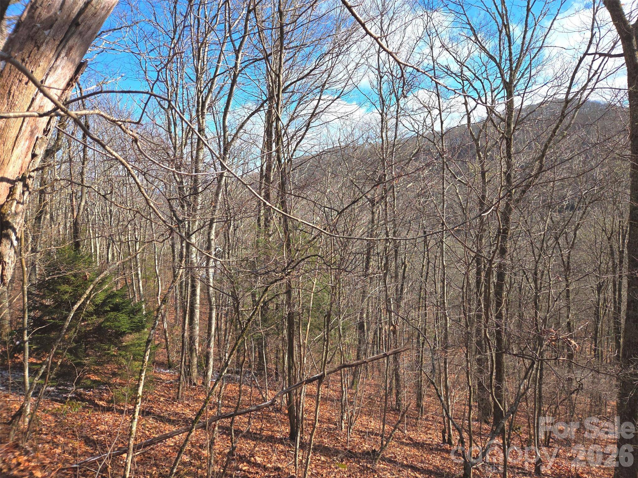 220 Sky DR #PT-11, Maggie Valley, NC 28751