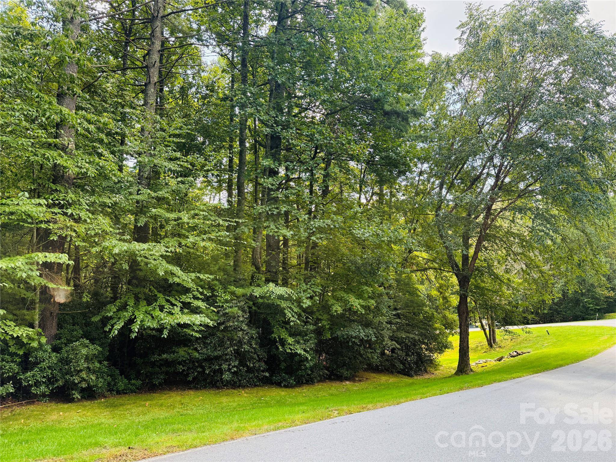 20 Prickly Briar RD, Hendersonville, NC 28739
