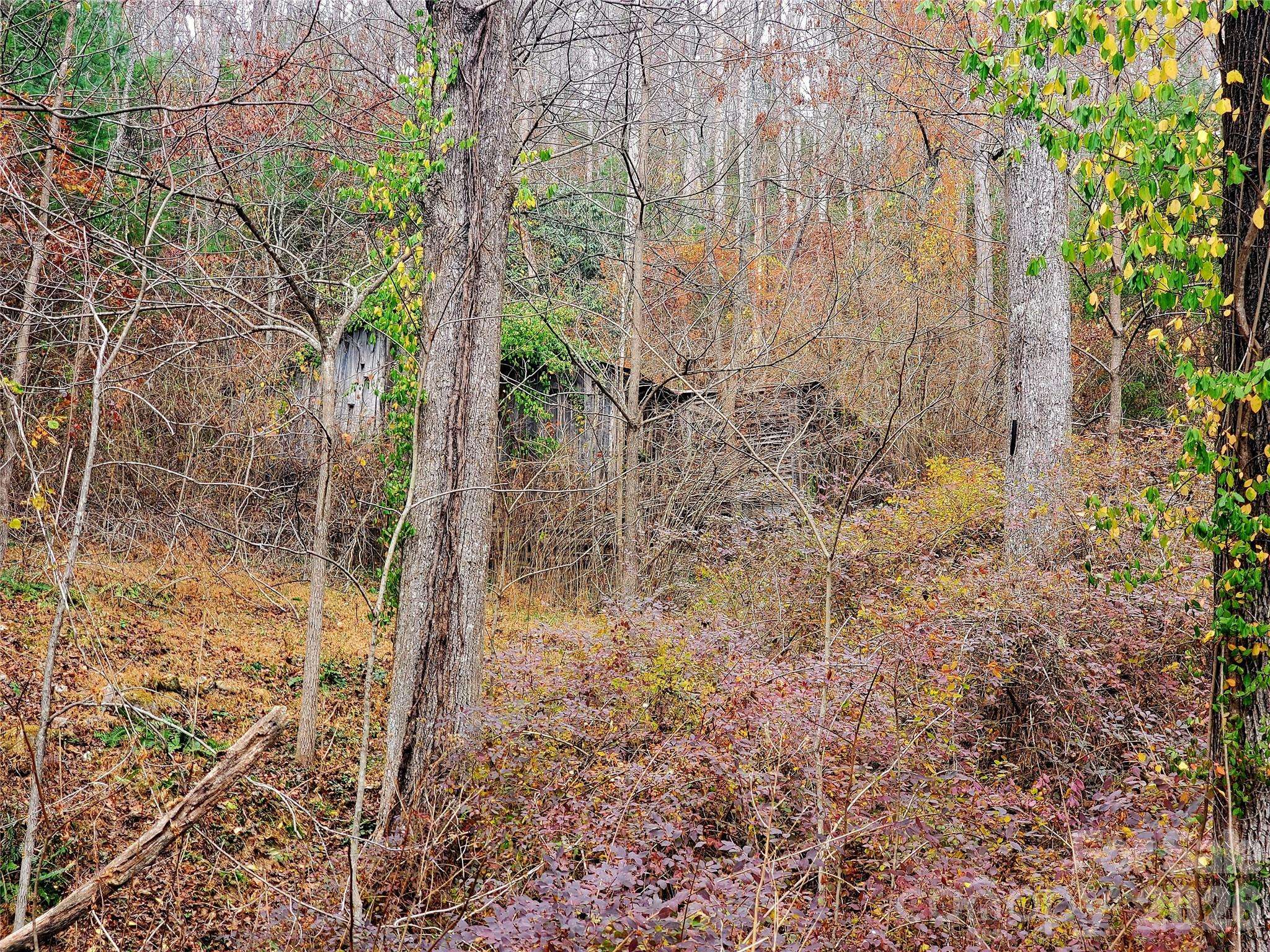2701 Gouges Creek RD, Spruce Pine, NC 28777