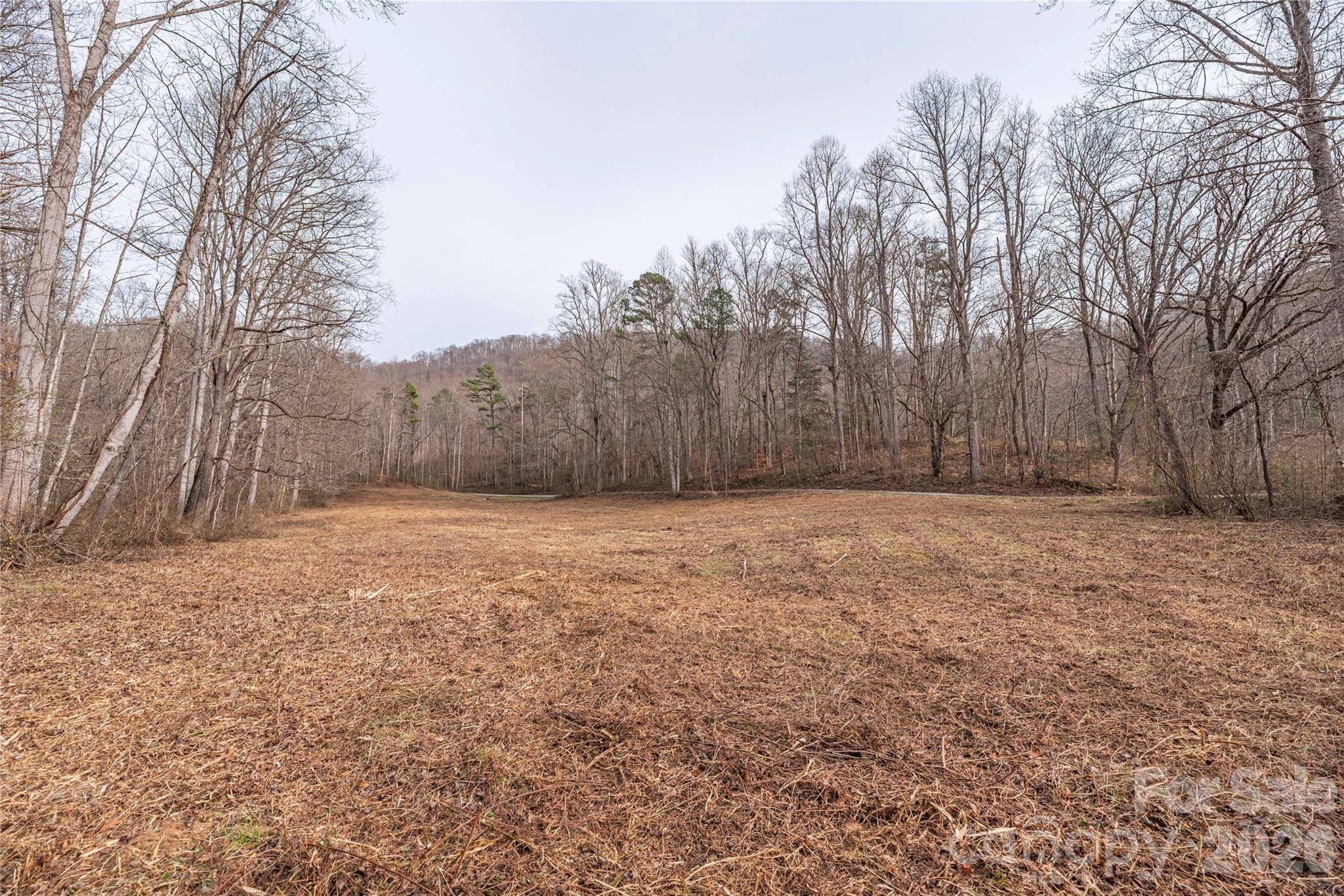 00 Carver Mountain VLY, Sylva, NC 28779