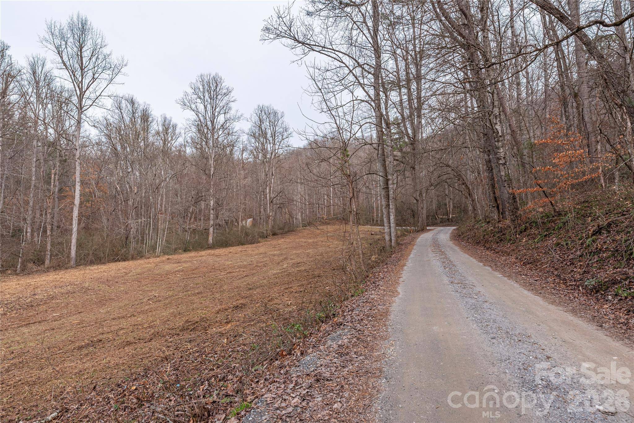 00 Carver Mountain VLY, Sylva, NC 28779