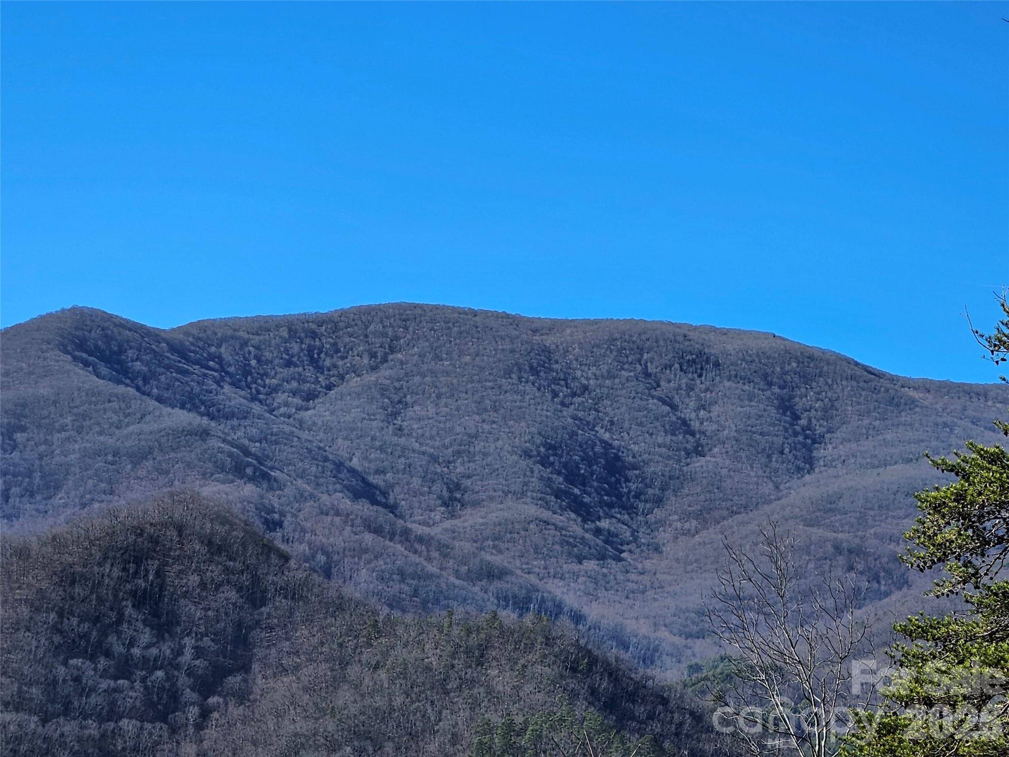 000 Blue Vista RD, Canton, NC 28716