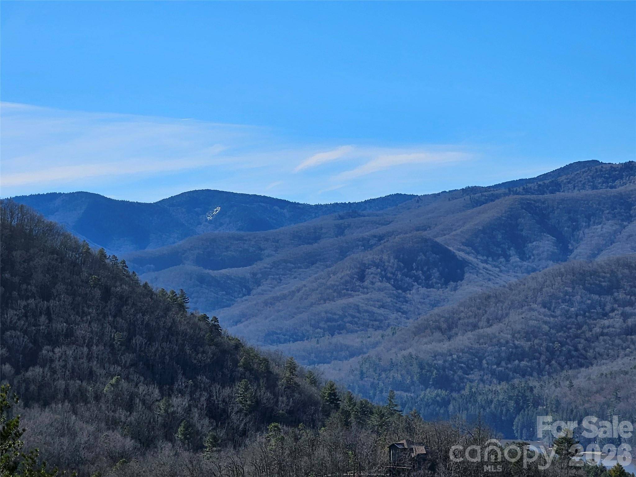 000 Blue Vista RD, Canton, NC 28716