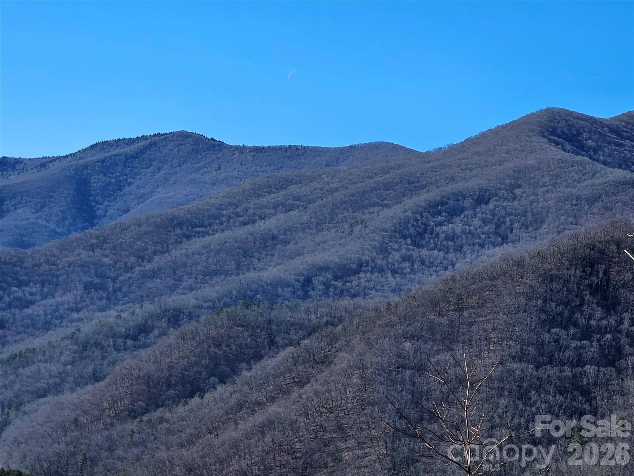 000 Blue Vista RD, Canton, NC 28716