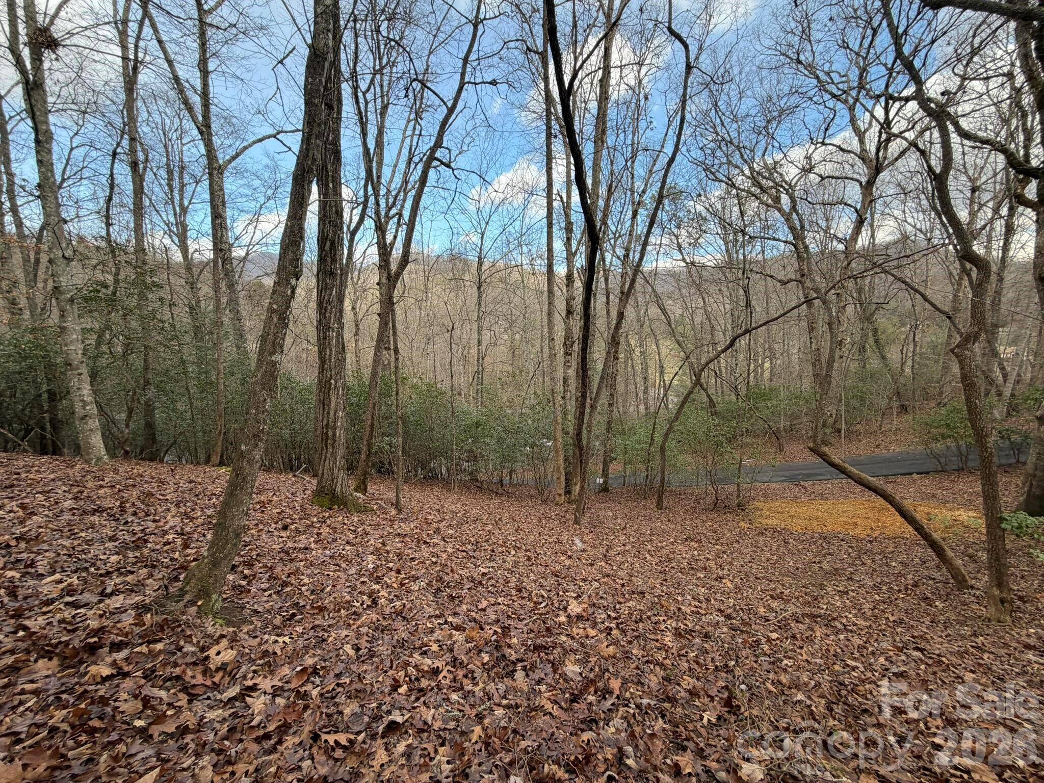 0 Crescent RDG, Franklin, NC 28734