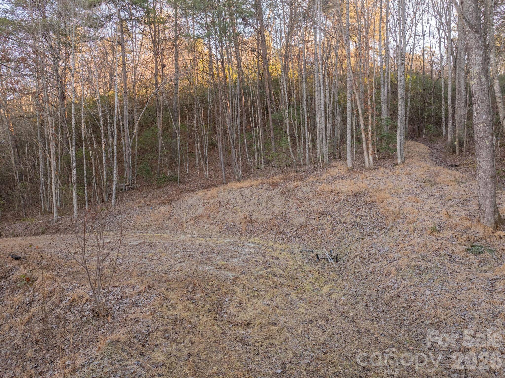 Lot 1 McCracken RD, Bryson City, NC 28713