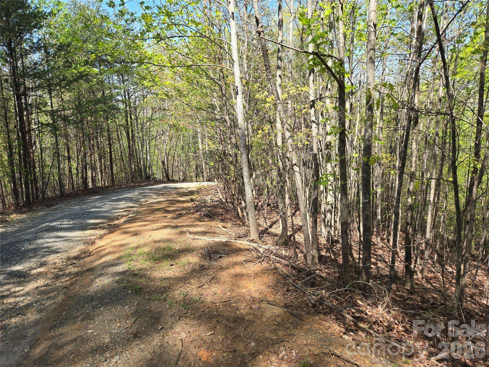 Lot 4 Hibiscus CT, Lake Lure, NC 28746