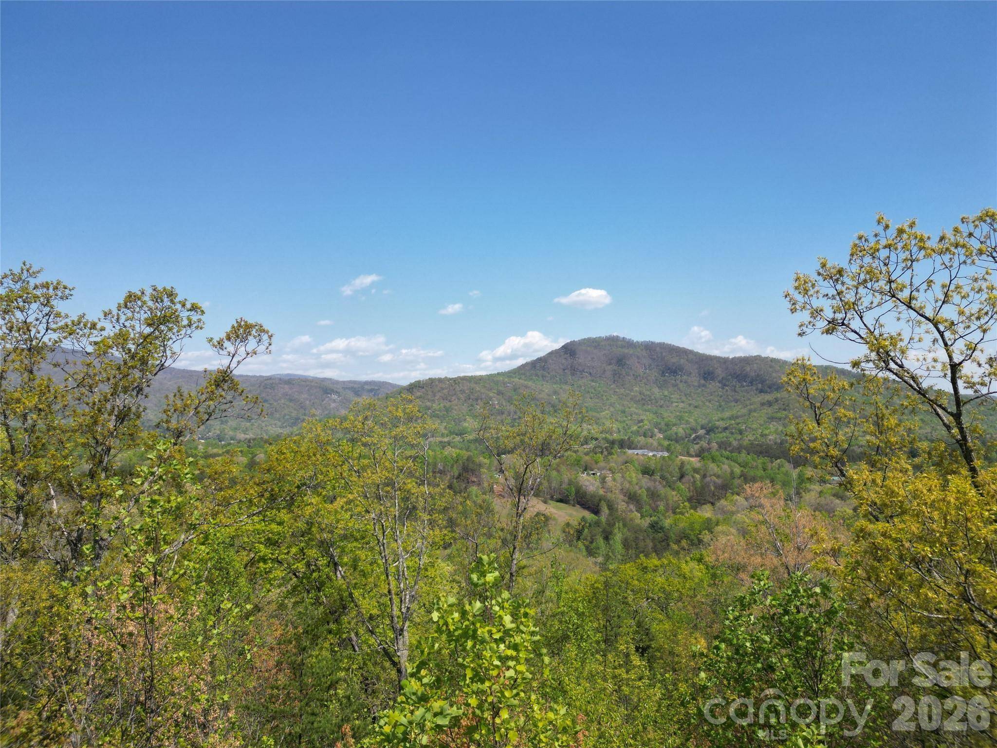 Lot 4 Hibiscus CT, Lake Lure, NC 28746