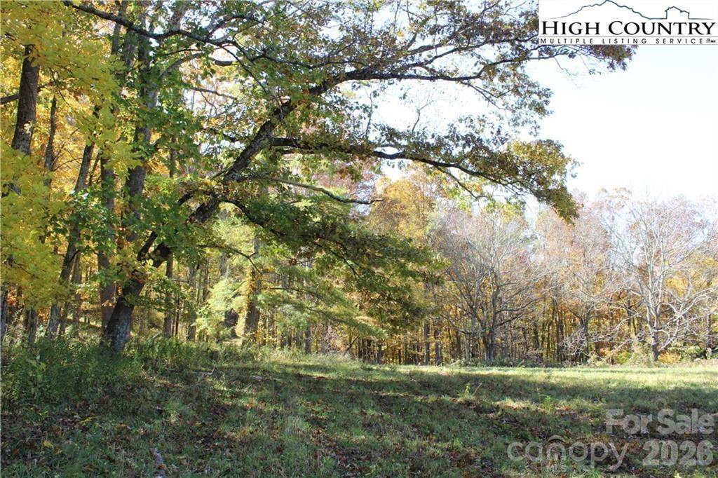 TBD MCNeill RD, Lansing, NC 28643