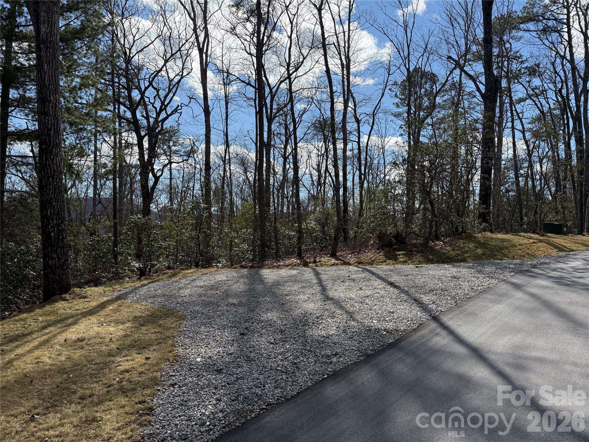 Tract 3 Turtle Ridge TRL, Mills River, NC 28759