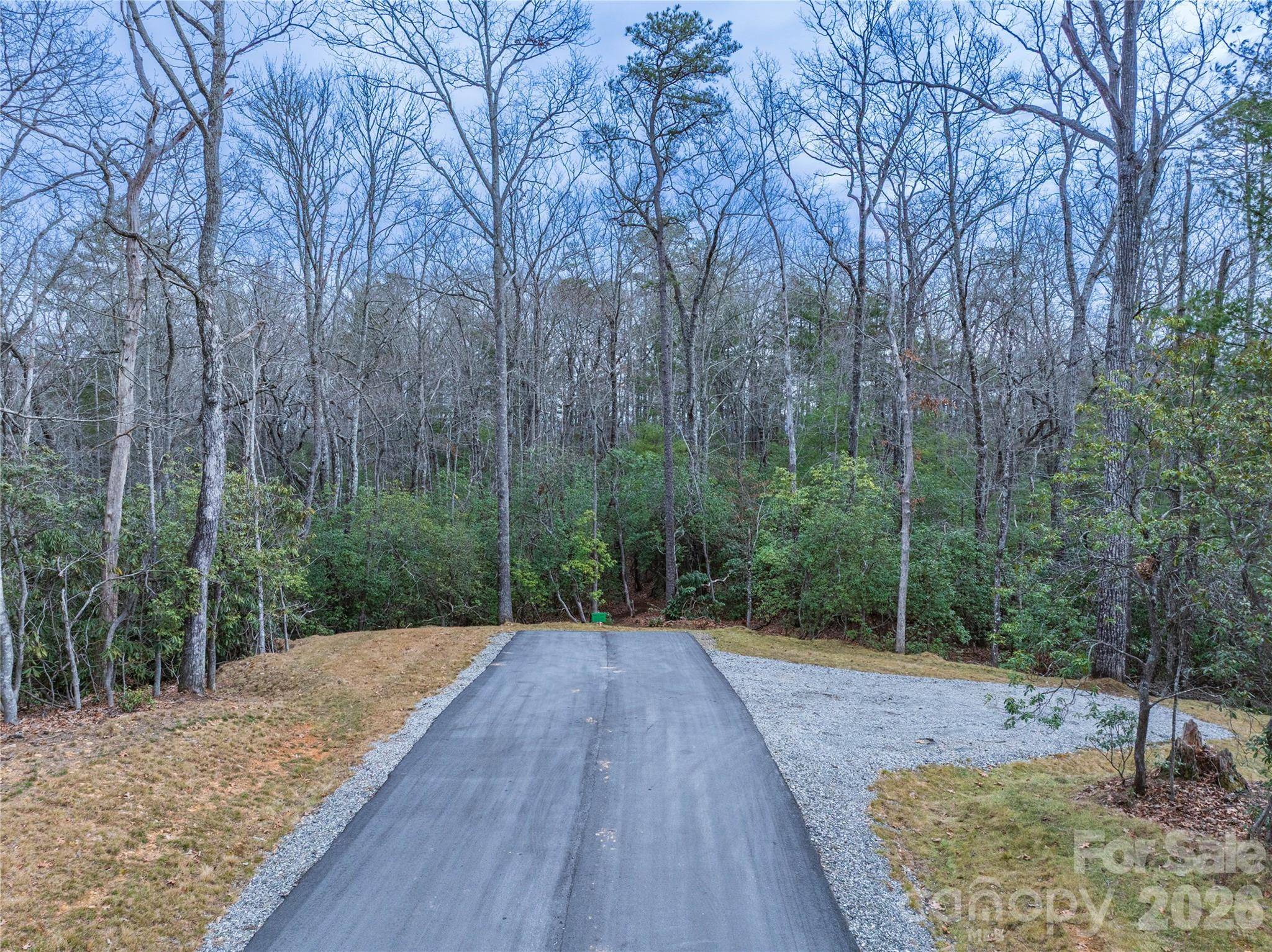 Tract 3 Turtle Ridge TRL, Mills River, NC 28759