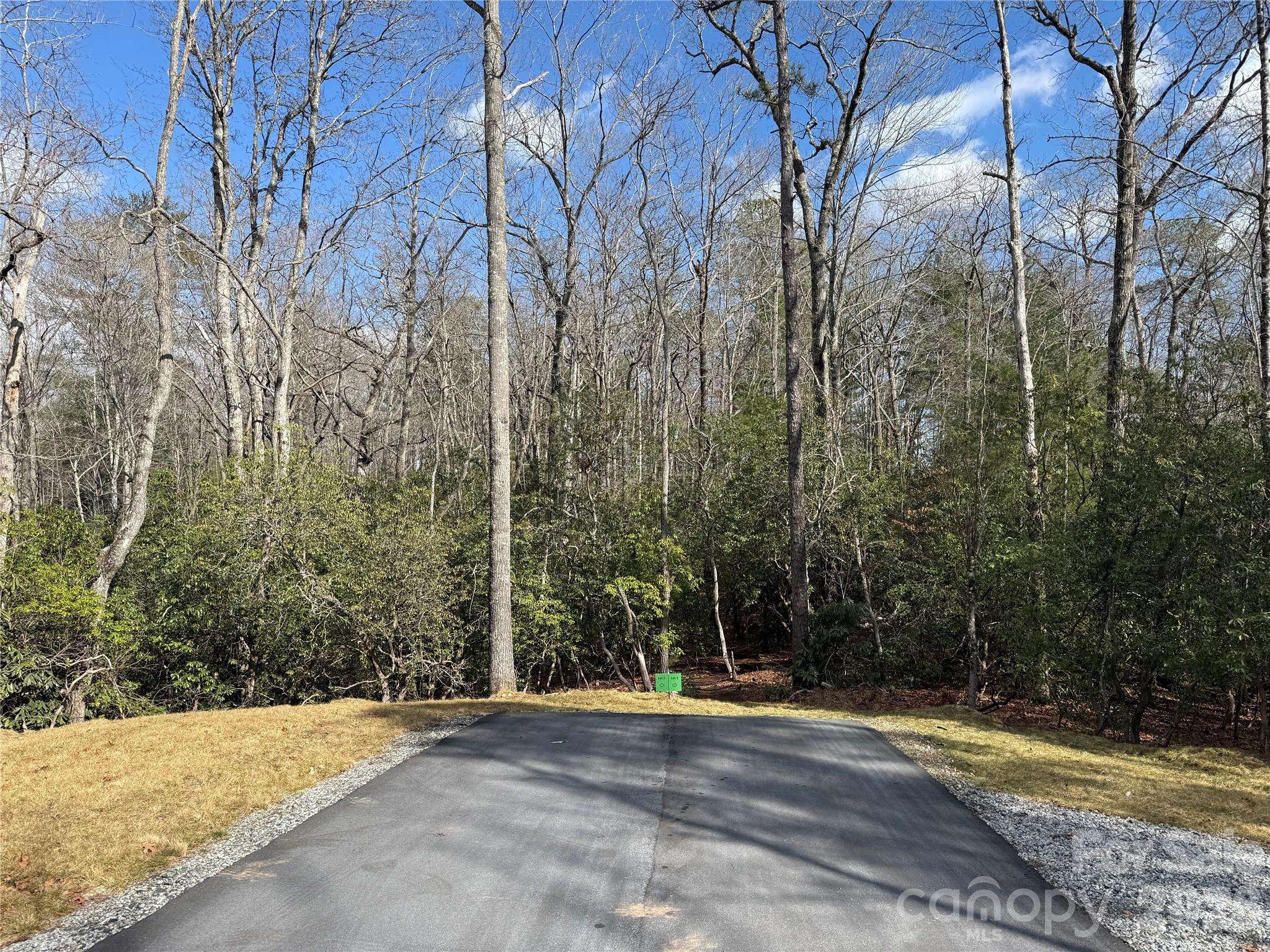 Tract 3 Turtle Ridge TRL, Mills River, NC 28759