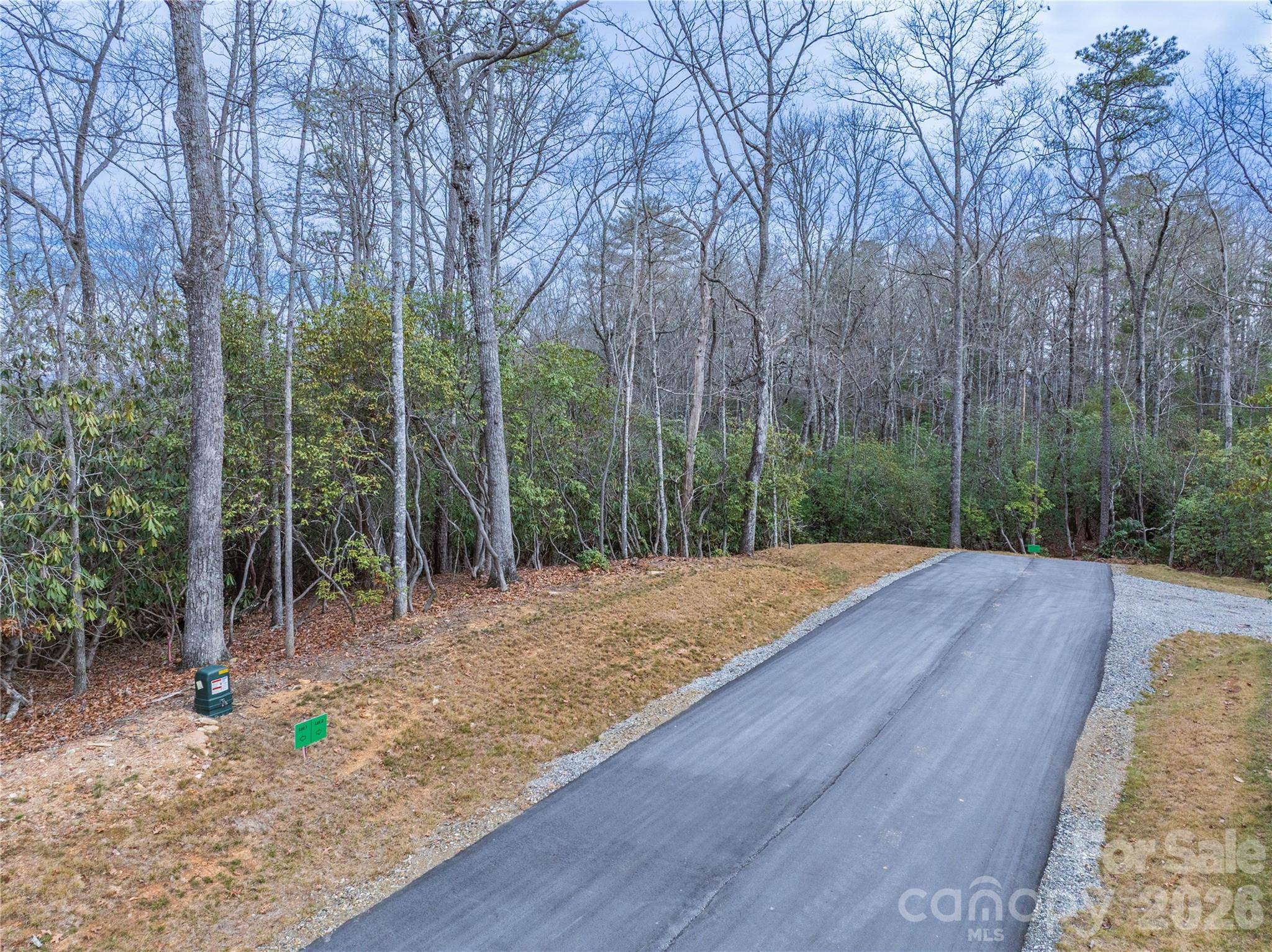 Tract 2 Turtle Ridge TRL, Mills River, NC 28759