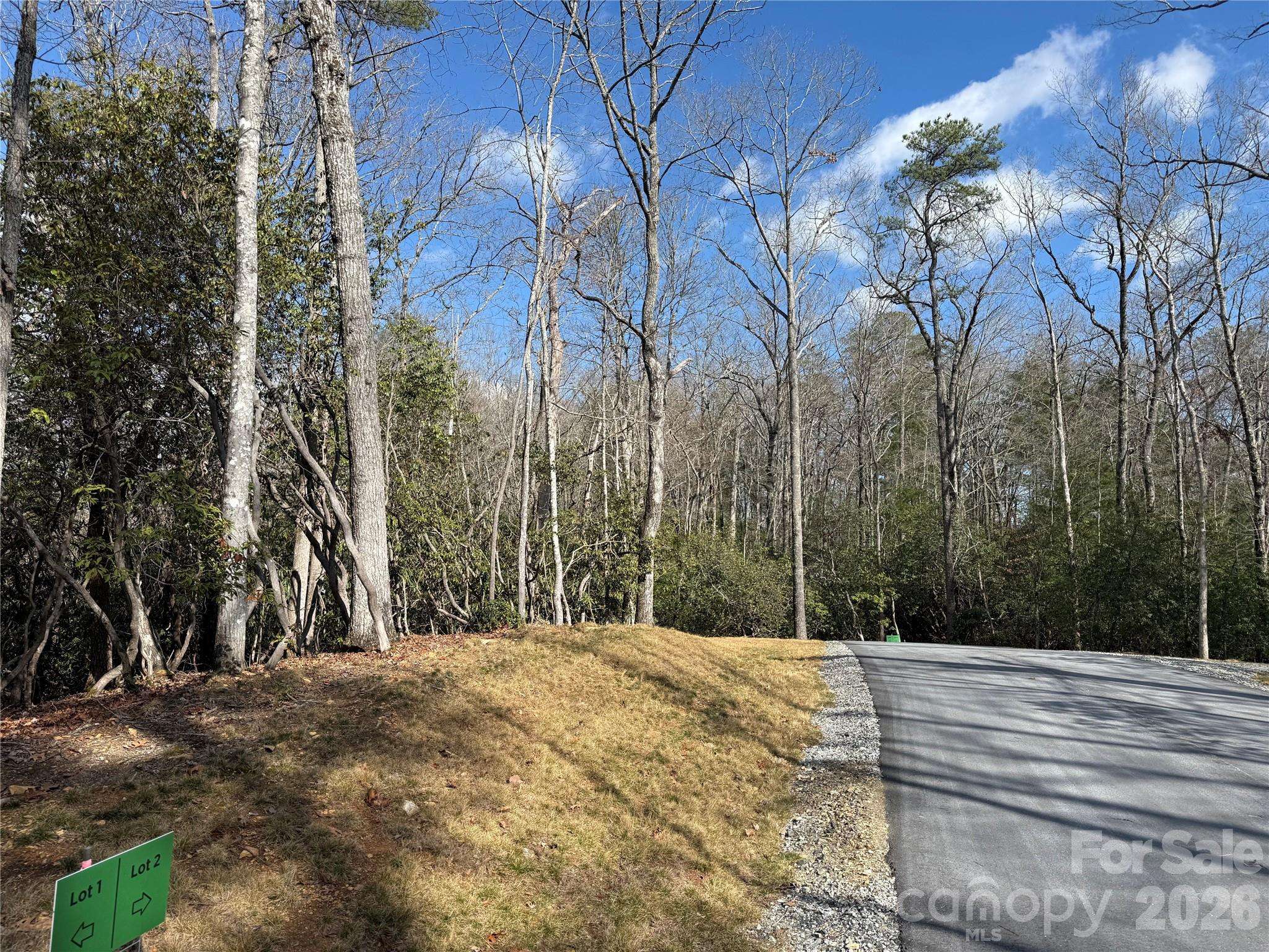 Tract 2 Turtle Ridge TRL, Mills River, NC 28759