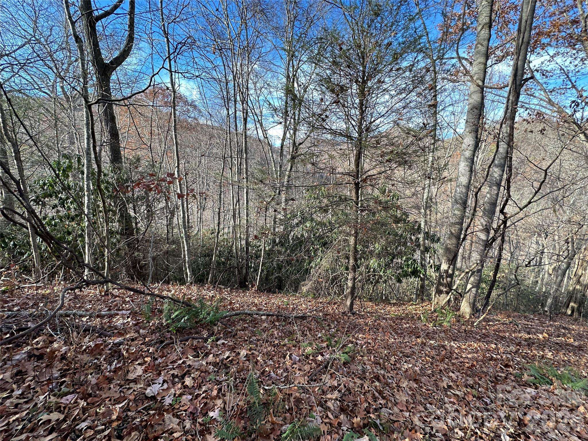 00 Rock House Cove RD #2, Clyde, NC 28721