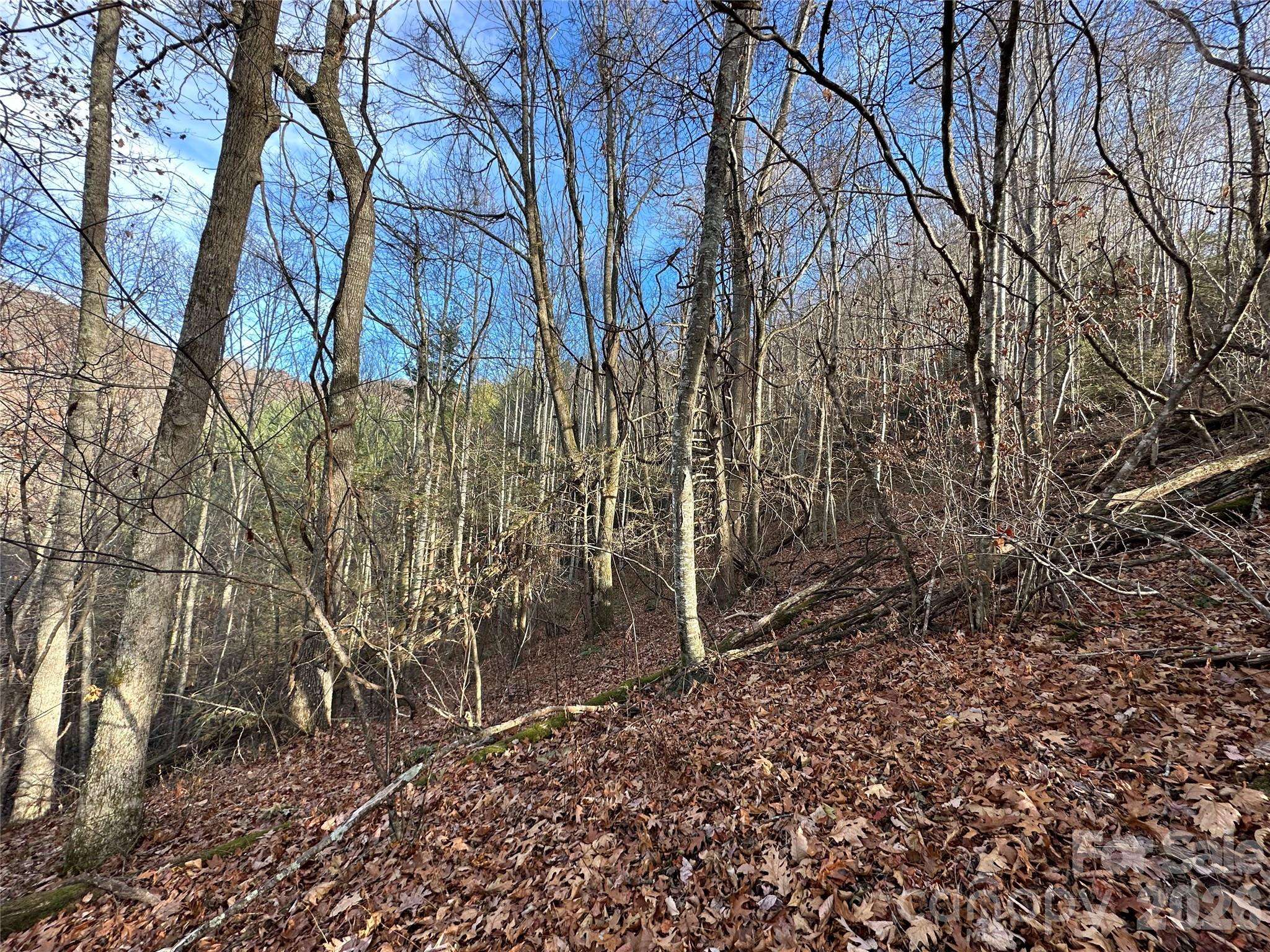00 Rock House Cove RD #2, Clyde, NC 28721