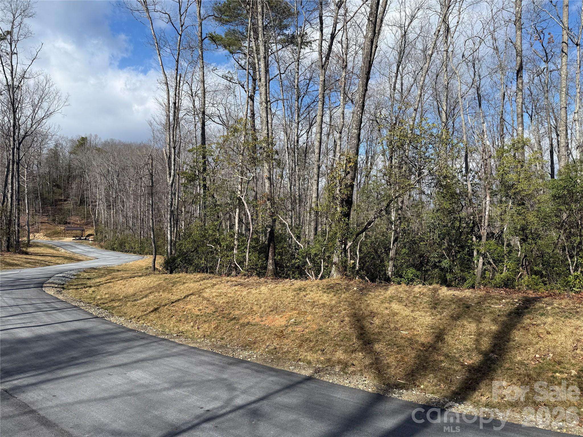 Tract 1 Turtle Ridge TRL, Mills River, NC 28759