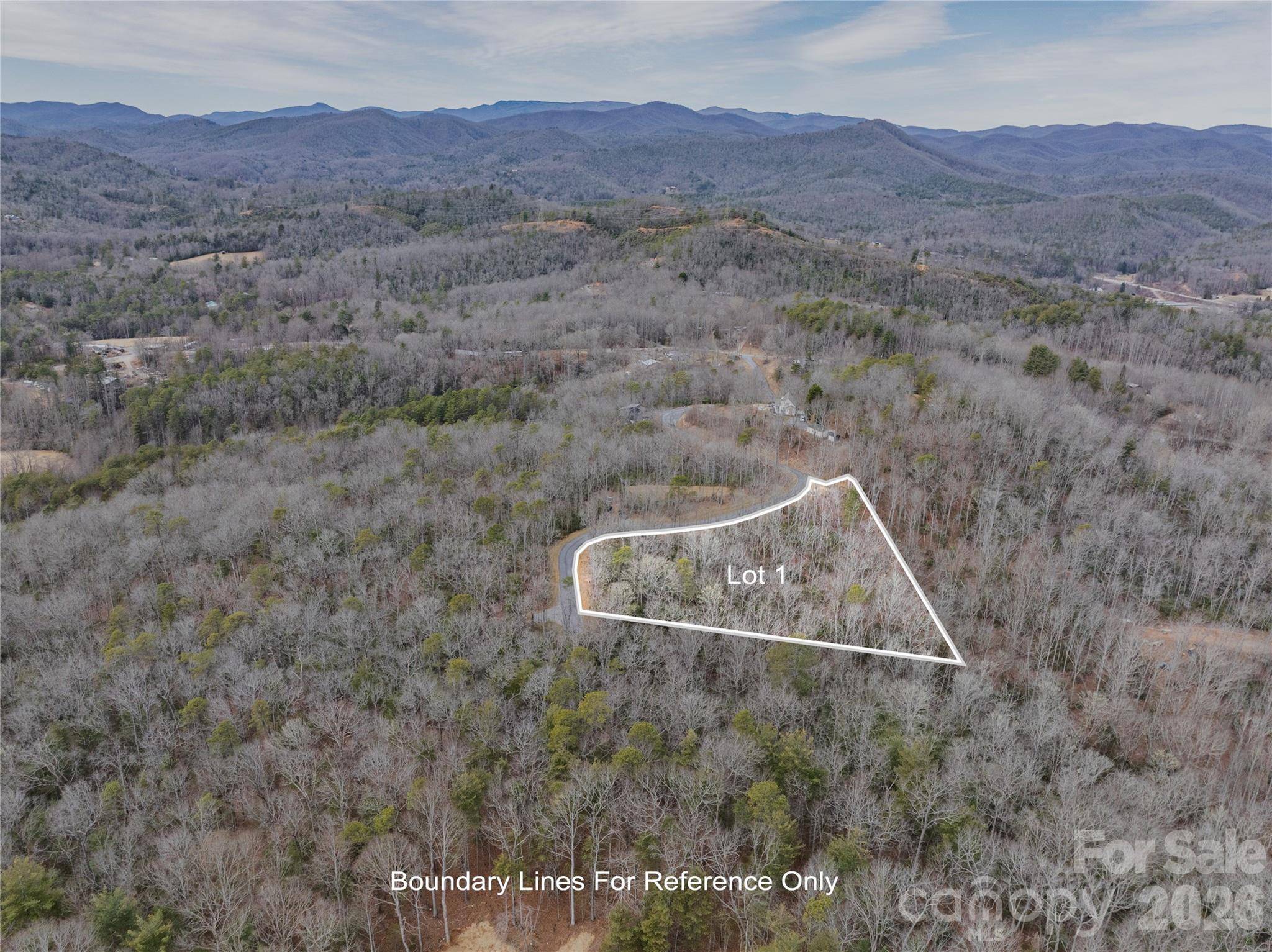 Tract 1 Turtle Ridge TRL, Mills River, NC 28759