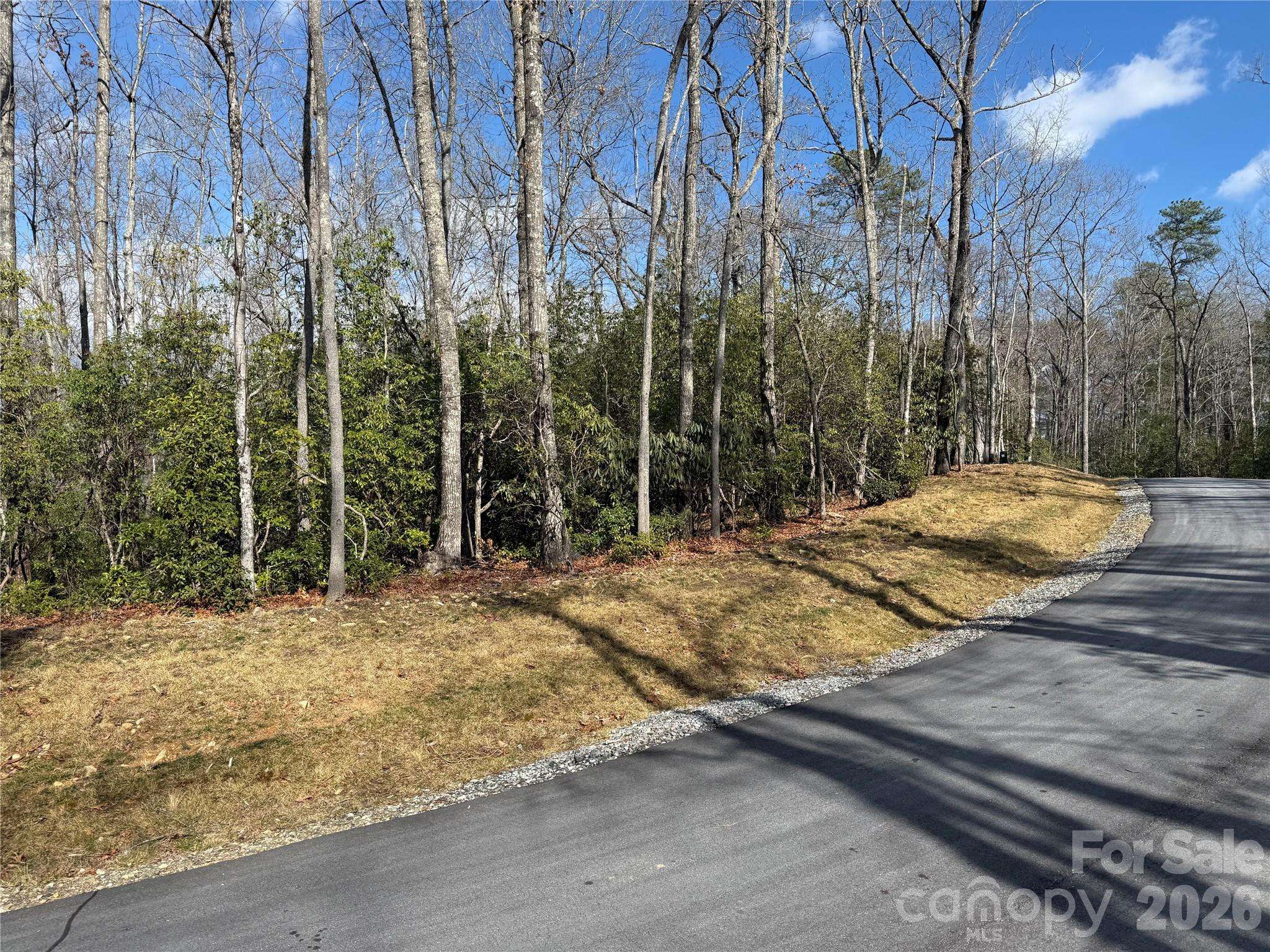 Tract 1 Turtle Ridge TRL, Mills River, NC 28759