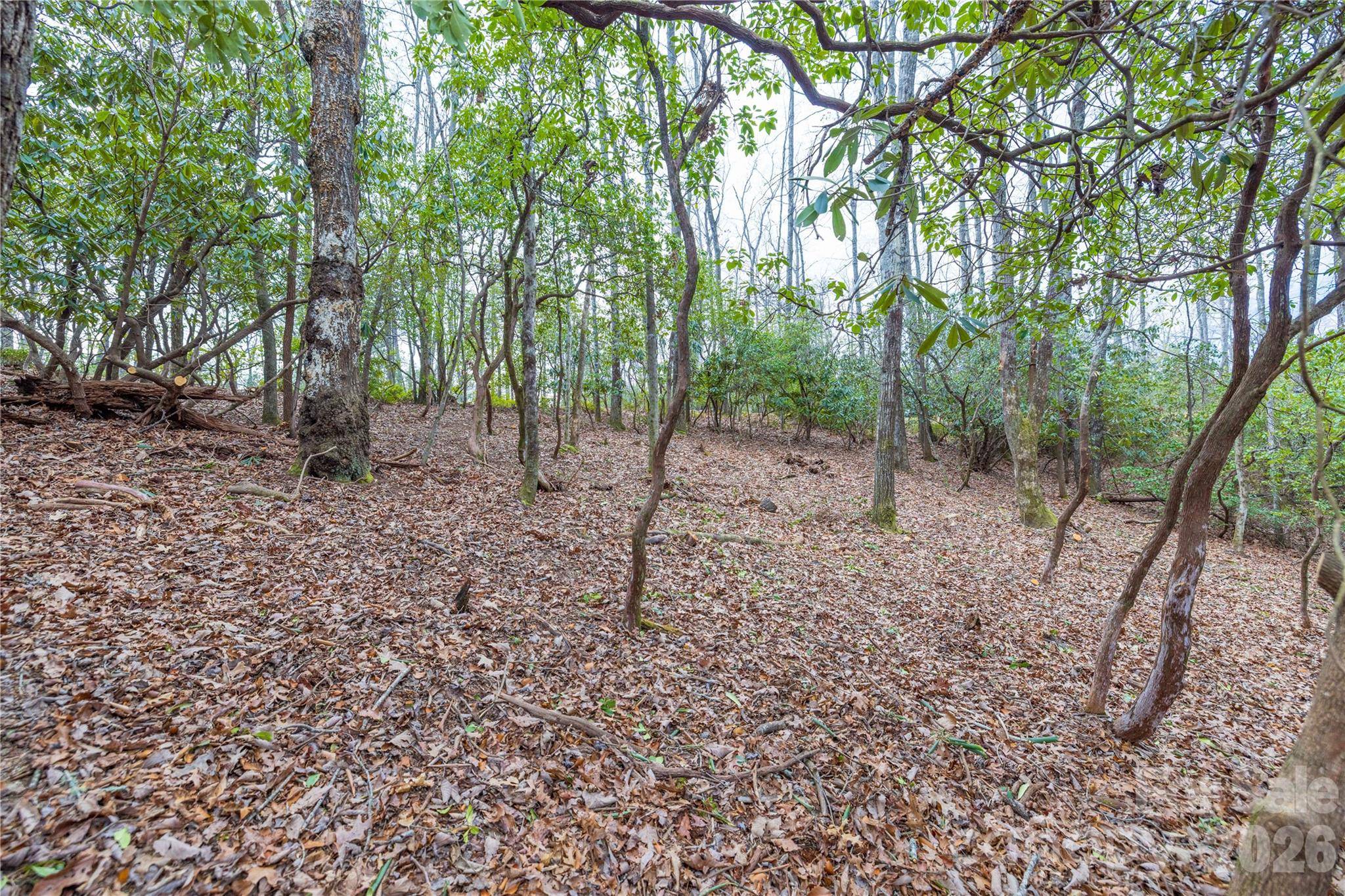 Tract 1 Turtle Ridge TRL, Mills River, NC 28759
