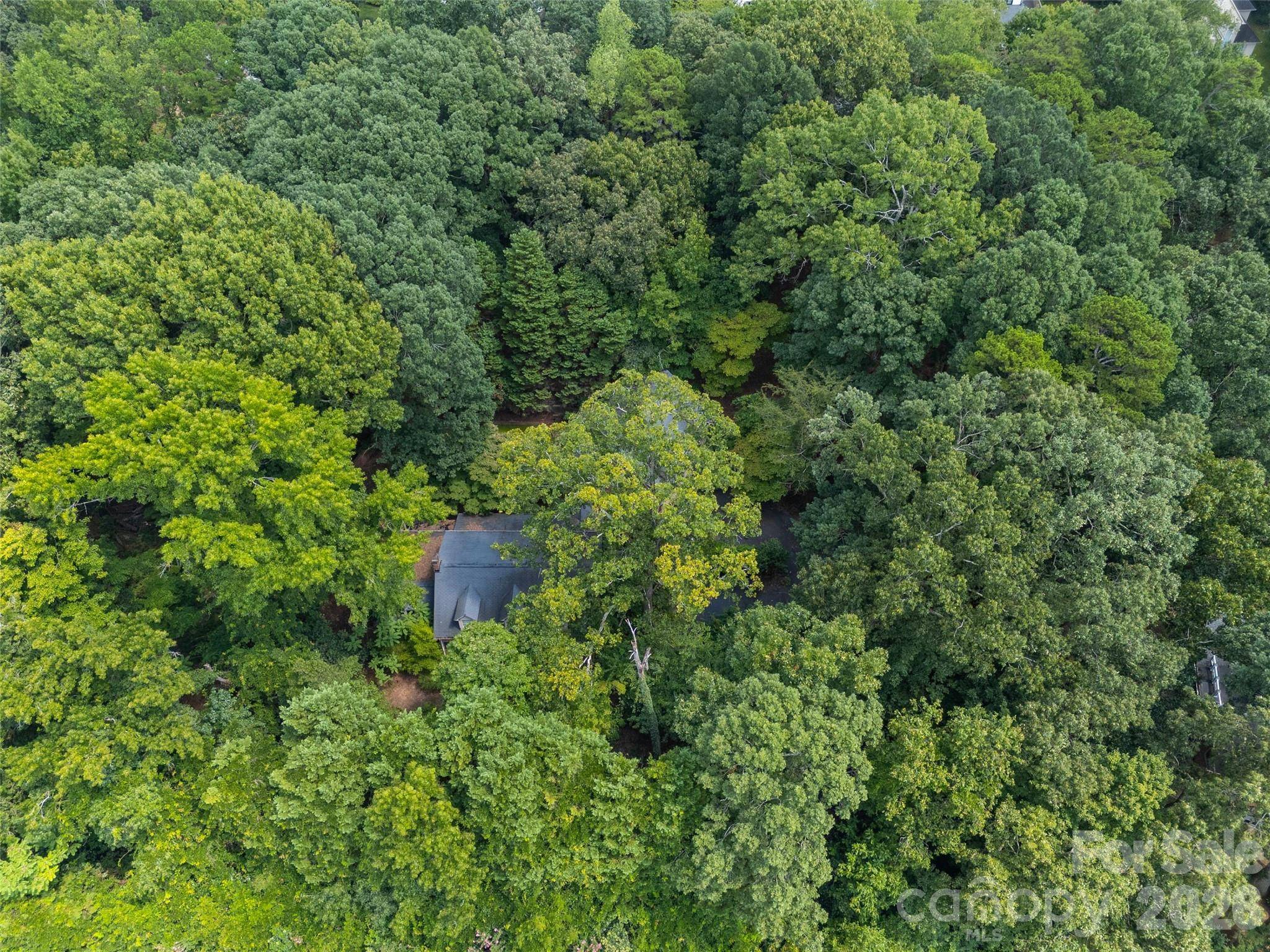 7707 Park RD, Charlotte, NC 28210