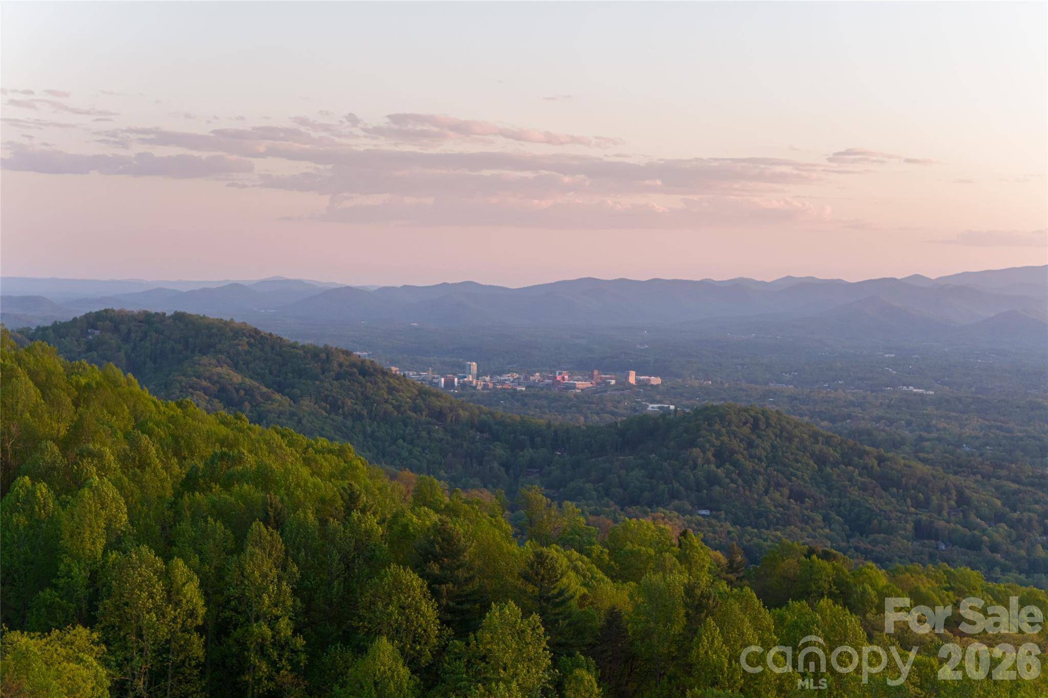 99999 Elk Mountain Scenic HWY #1 & 2, Asheville, NC 28804