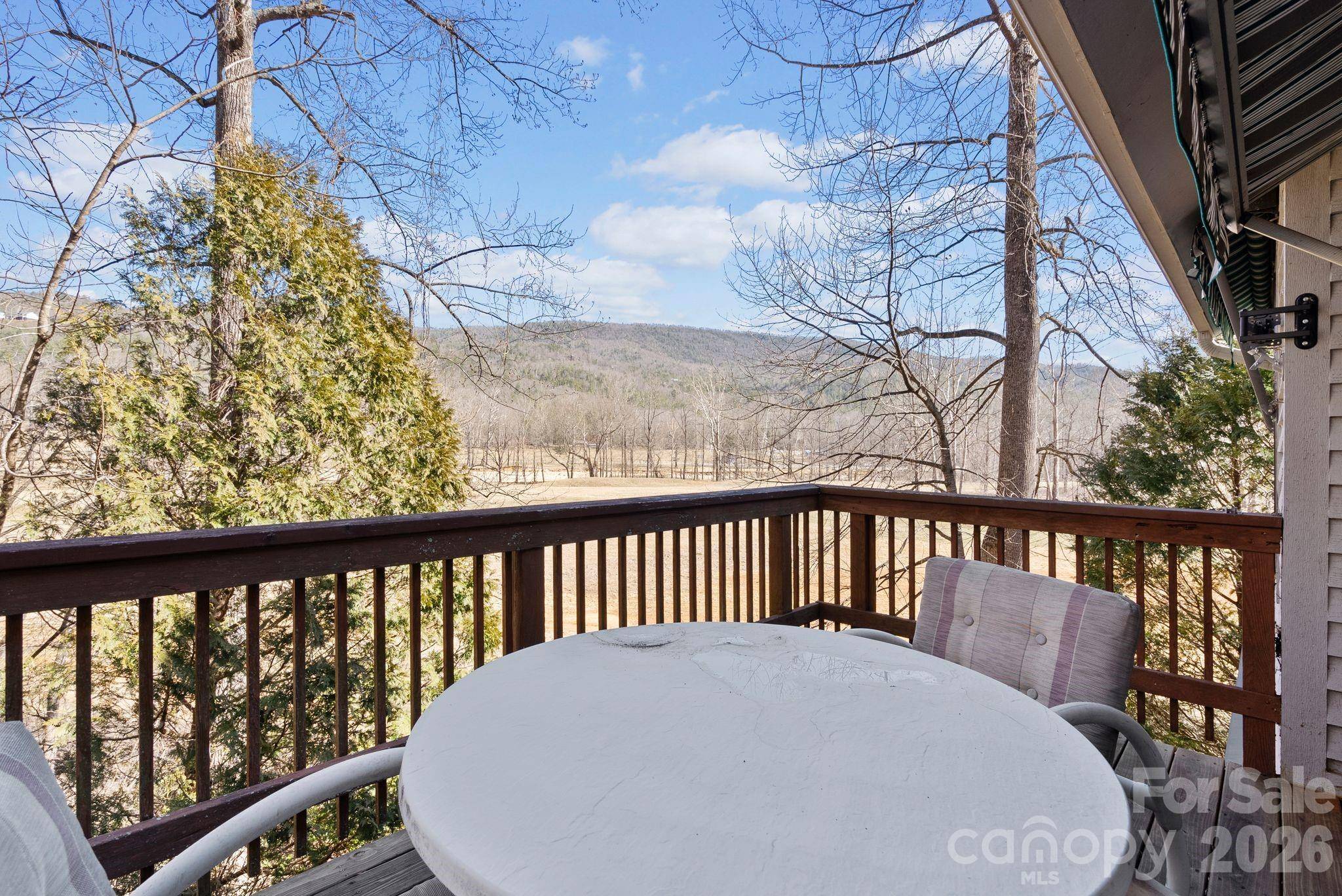 299 Blue Ridge DR S #3, Marion, NC 28752