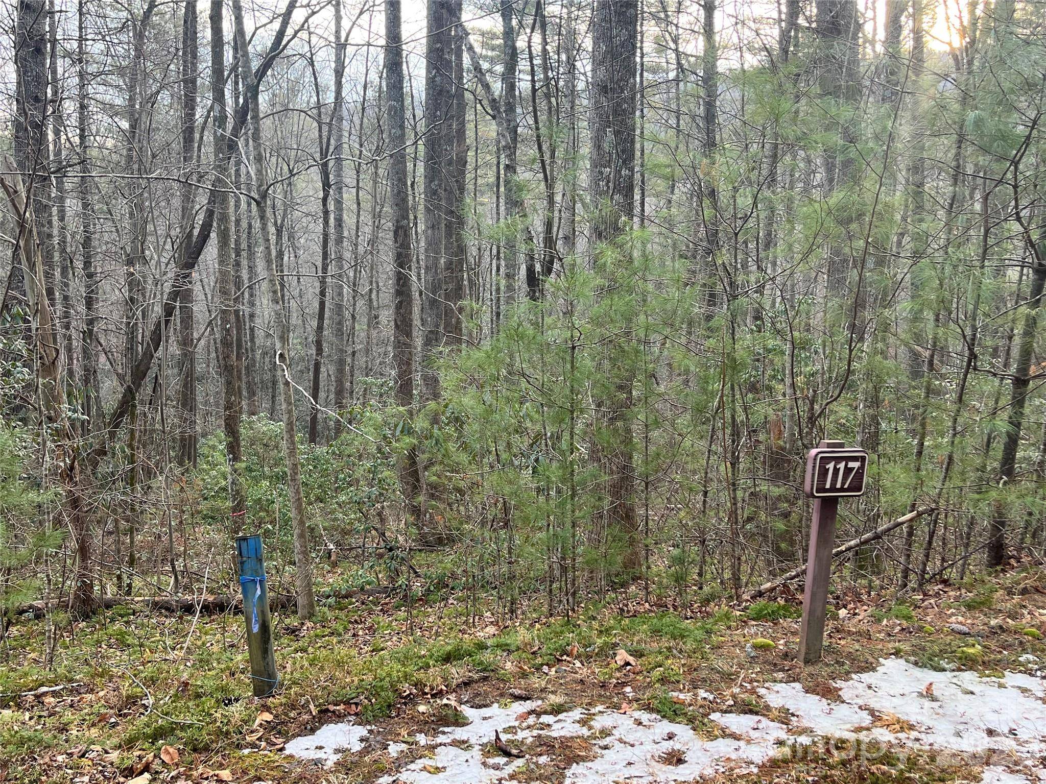 Lot 117 Huckleberry Ridge LN, Zirconia, NC 28790