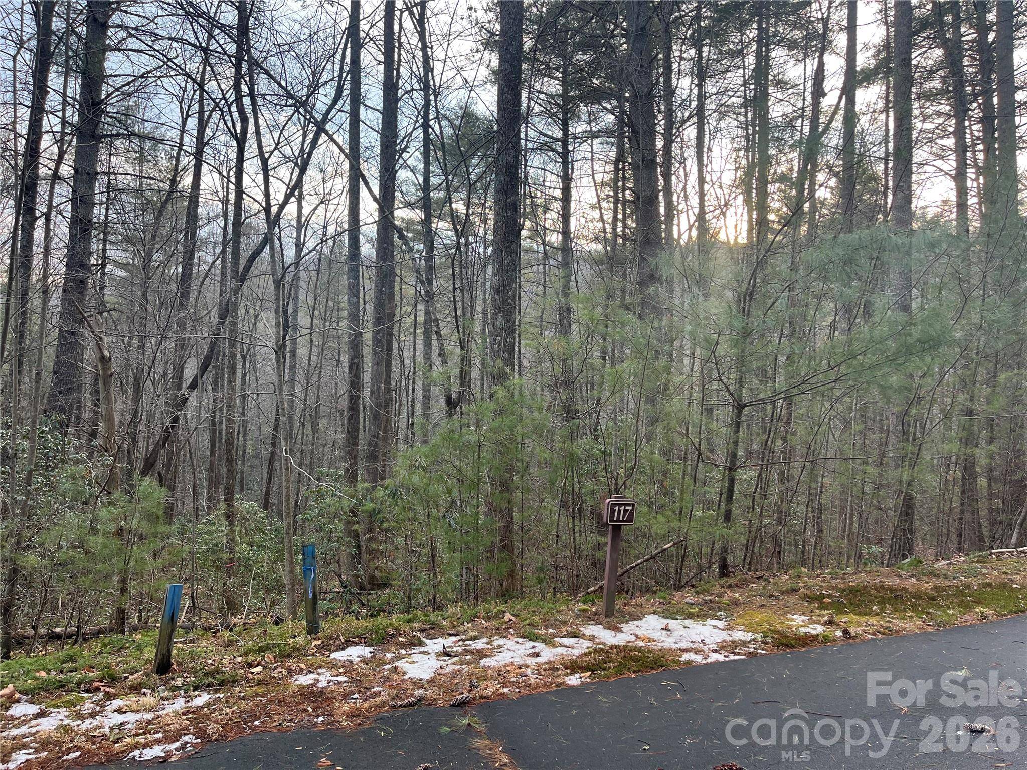 Lot 117 Huckleberry Ridge LN, Zirconia, NC 28790