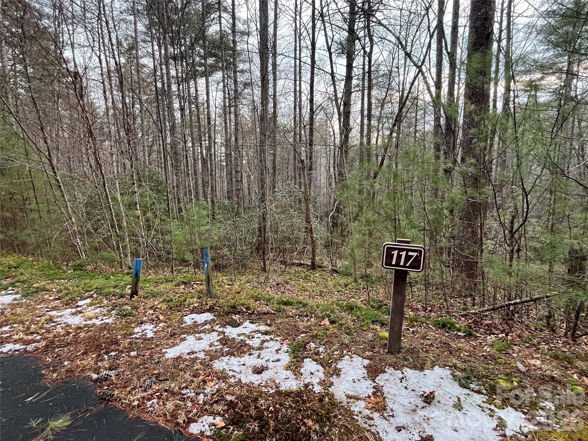 Lot 117 Huckleberry Ridge LN, Zirconia, NC 28790