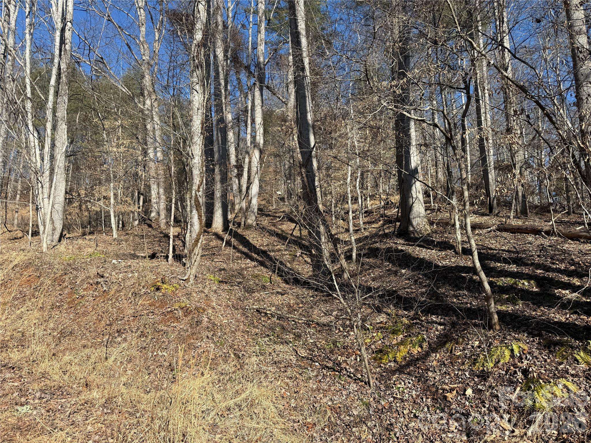 999 Echo Hill DR #4, Green Mountain, NC 28740