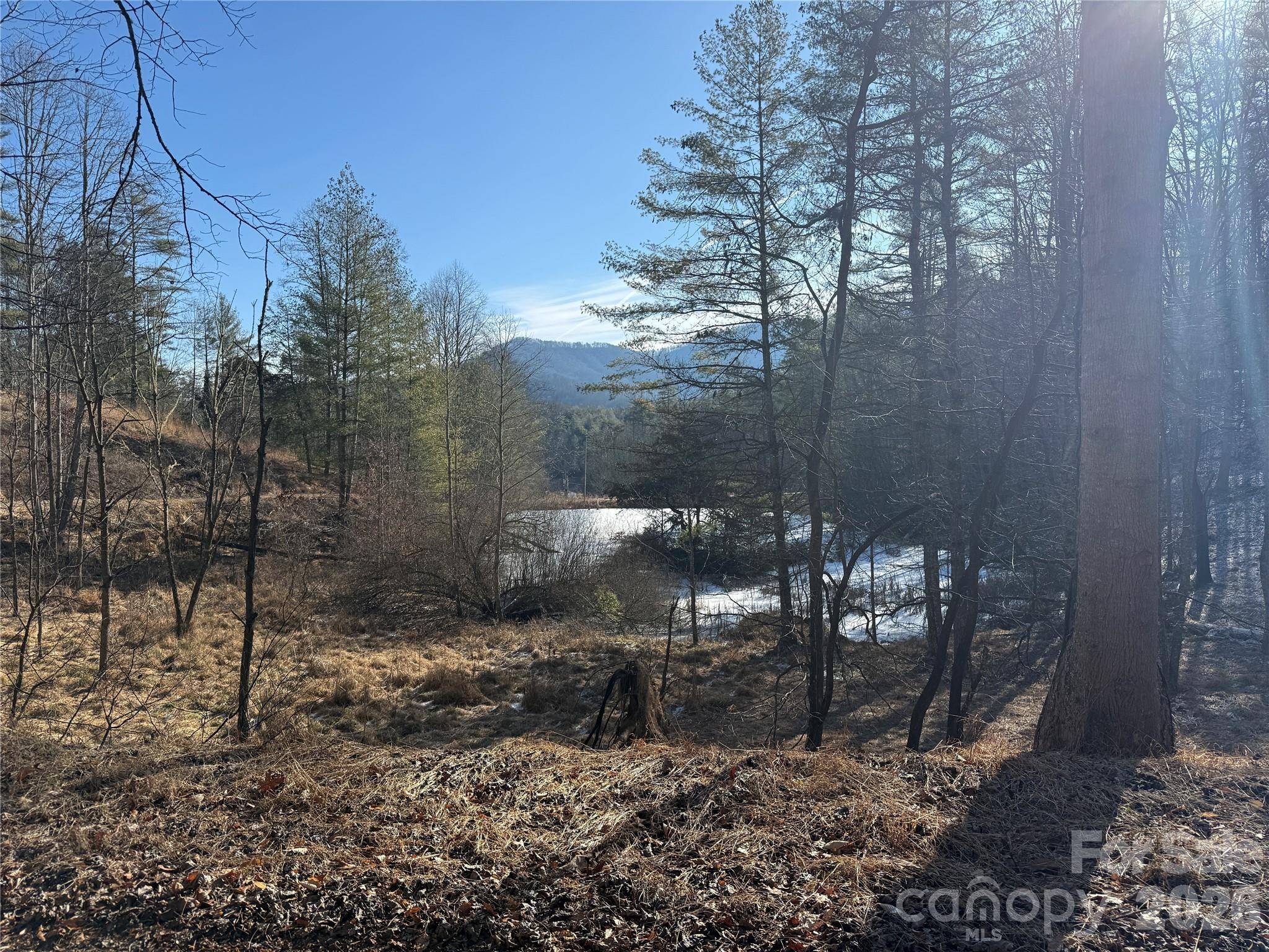 999 Echo Hill DR #4, Green Mountain, NC 28740
