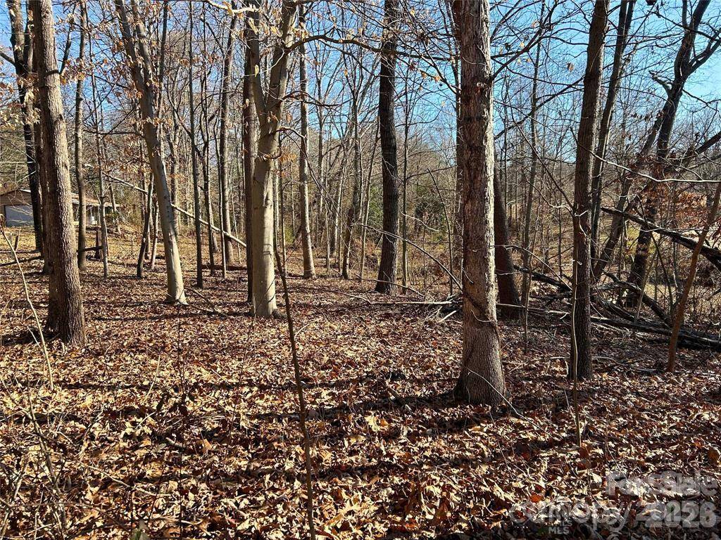 00 Walker Branch RD, Lincolnton, NC 28092
