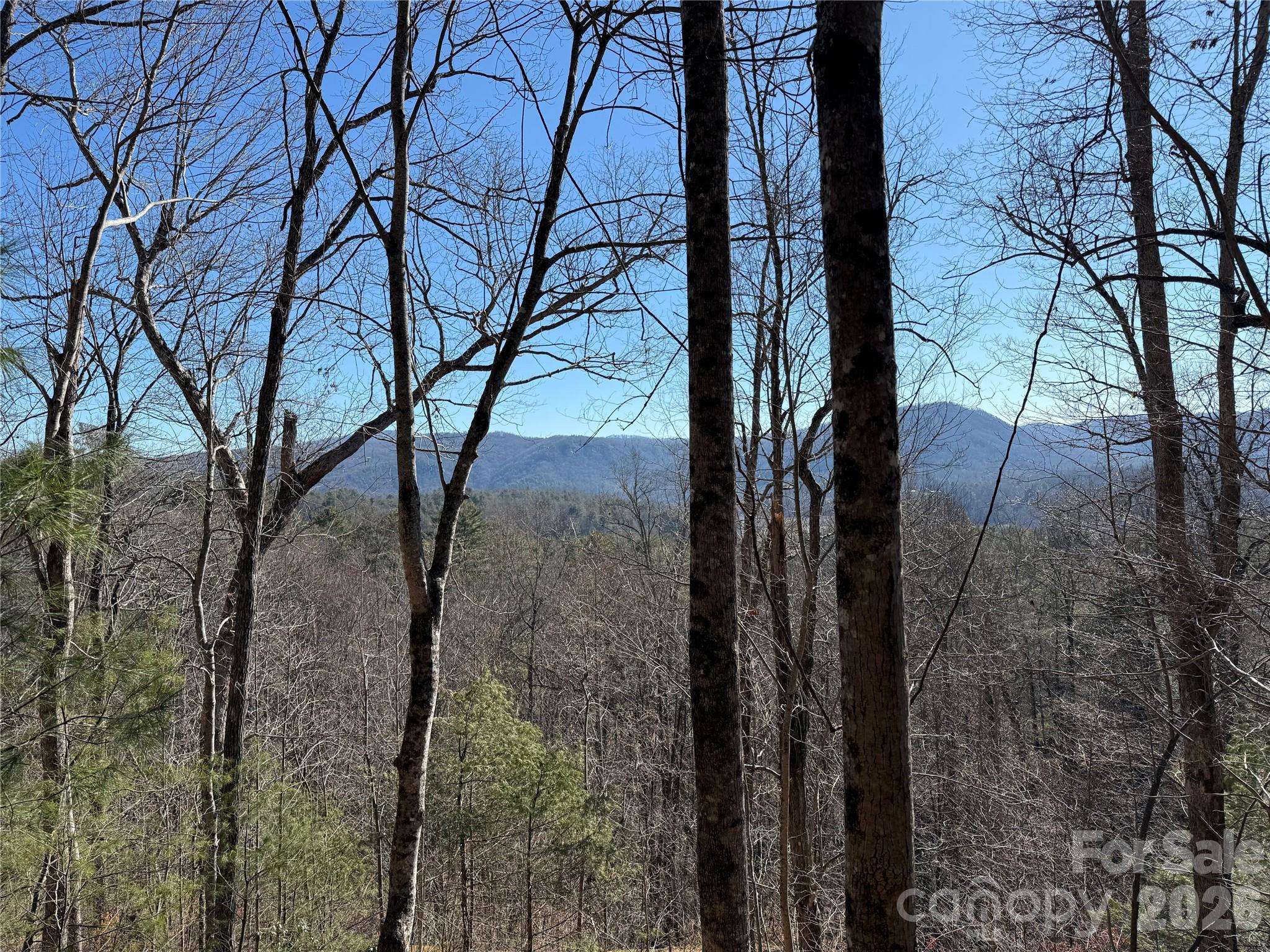 33 High Point TRL, Brevard, NC 28712