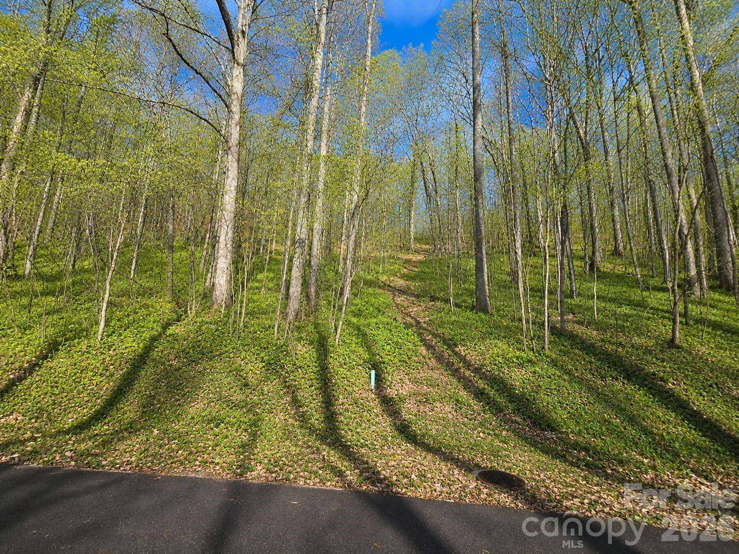 455 Mountain Watch DR #16, Waynesville, NC 28785