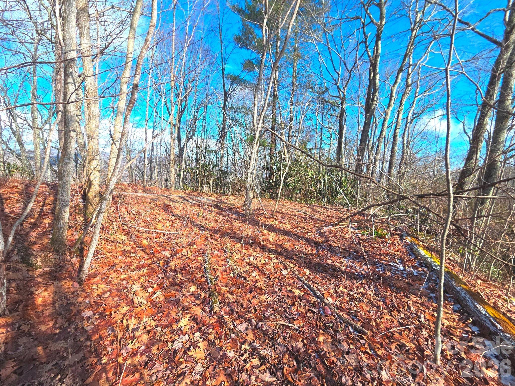 550 Sky DR #12A, Maggie Valley, NC 28751