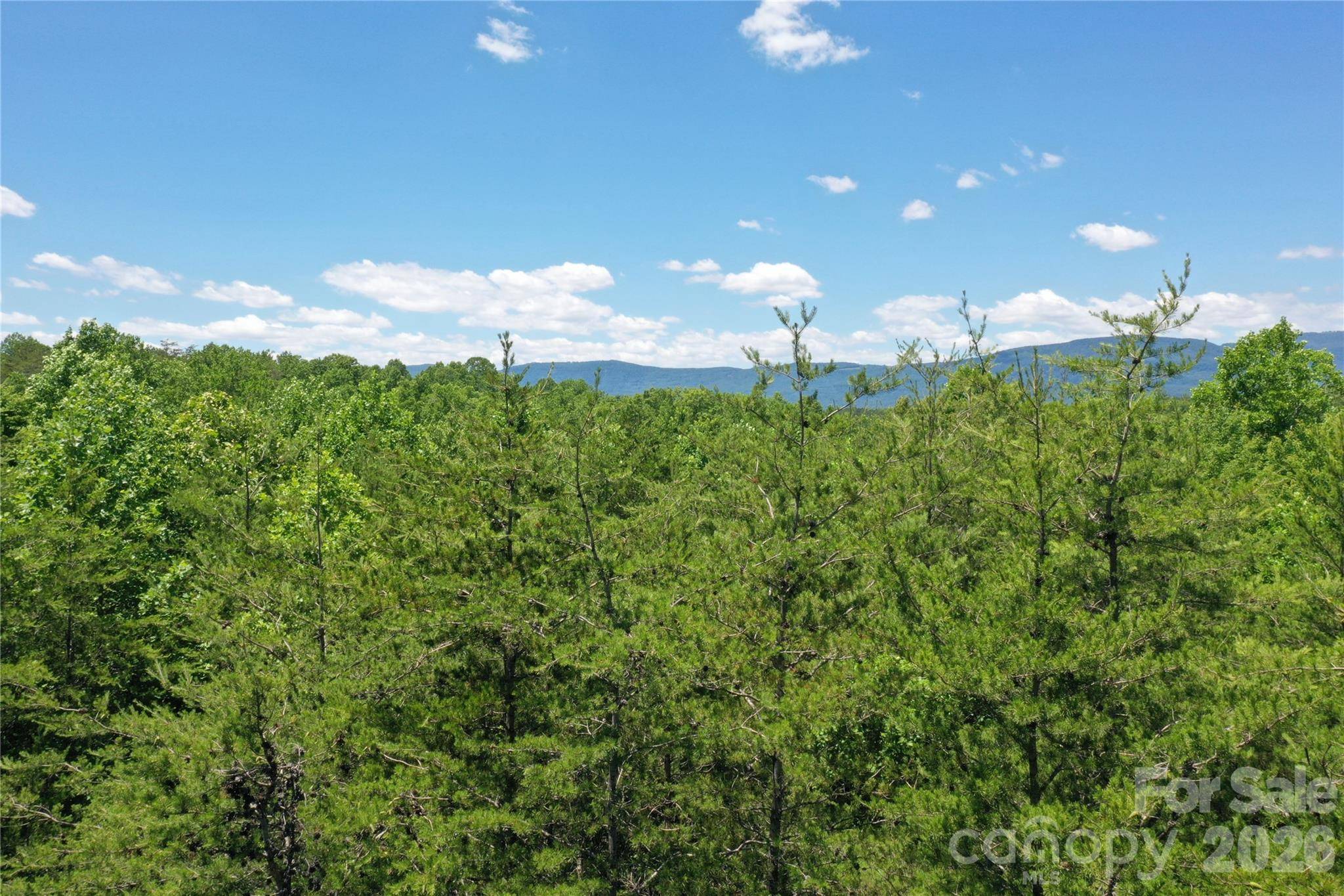 0 Burt Blackwell RD, Mill Spring, NC 28756