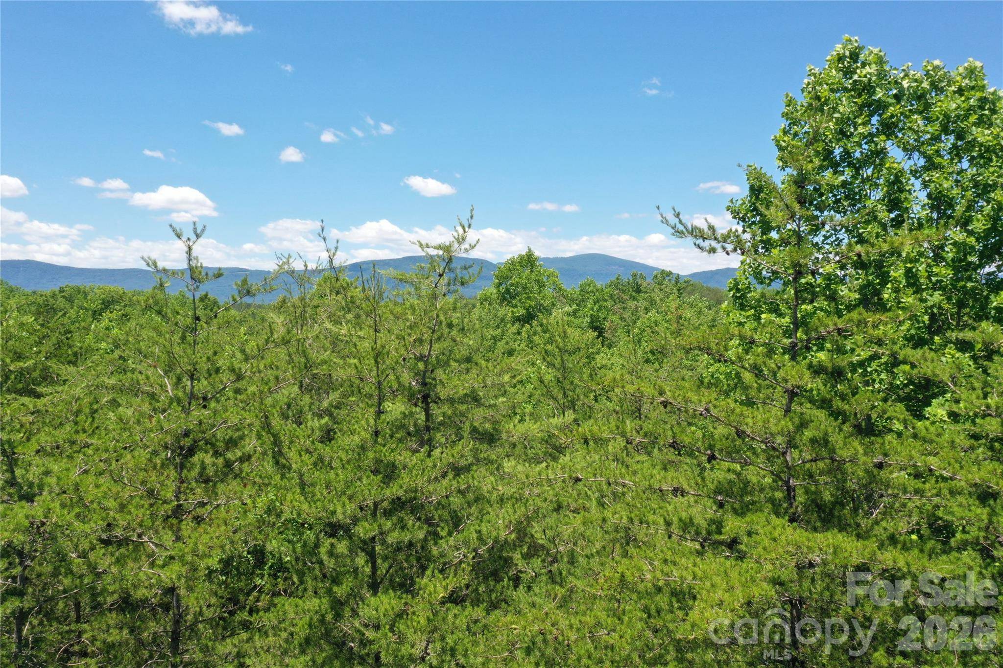 0 Burt Blackwell RD, Mill Spring, NC 28756
