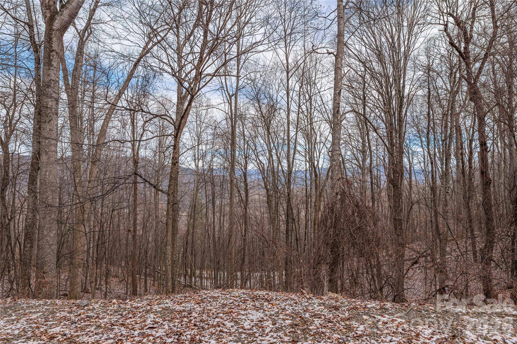 00 Curry Comb TRL #516, Waynesville, NC 28785