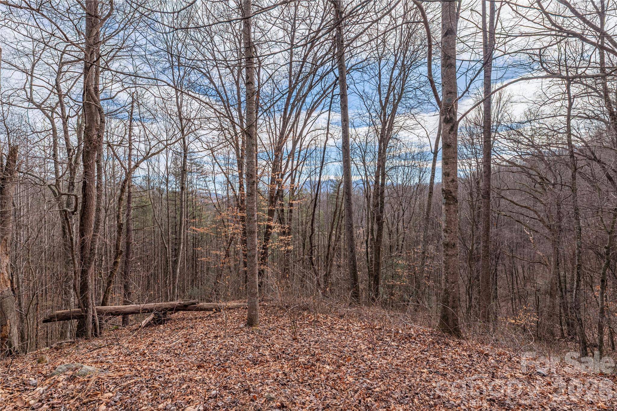 00 Point Of View DR #201, Waynesville, NC 28785