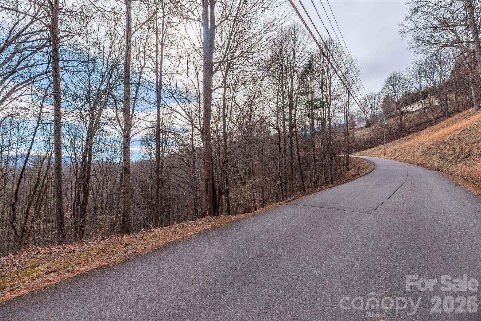 00 Point Of View DR #201, Waynesville, NC 28785