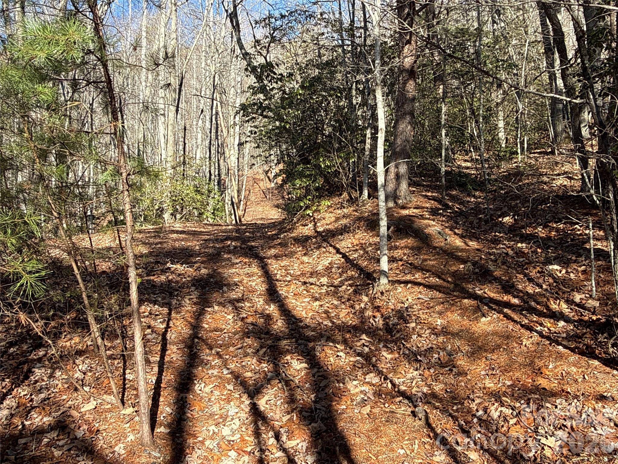 9999 Sealey LN, Leicester, NC 28748