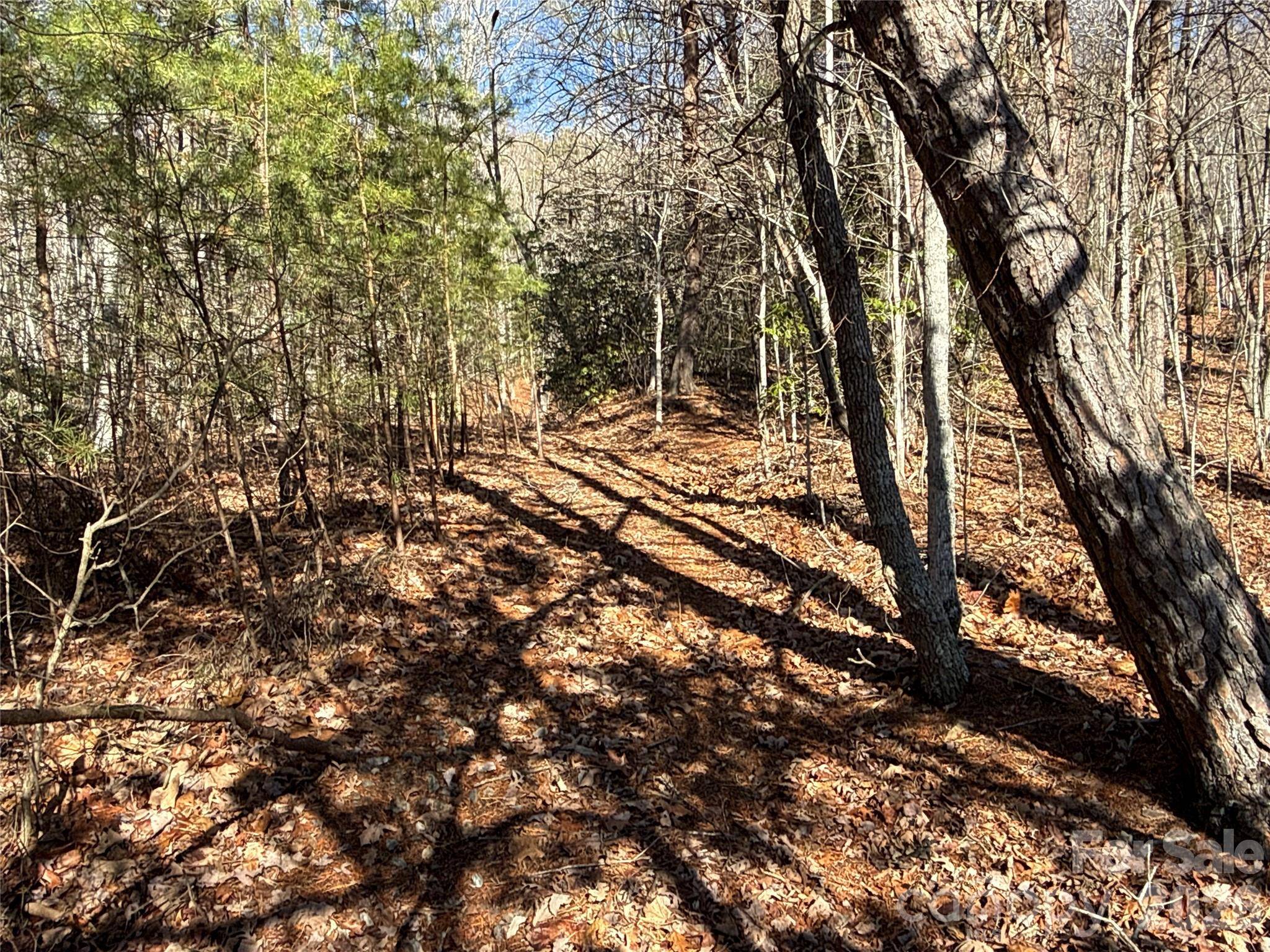 9999 Sealey LN, Leicester, NC 28748