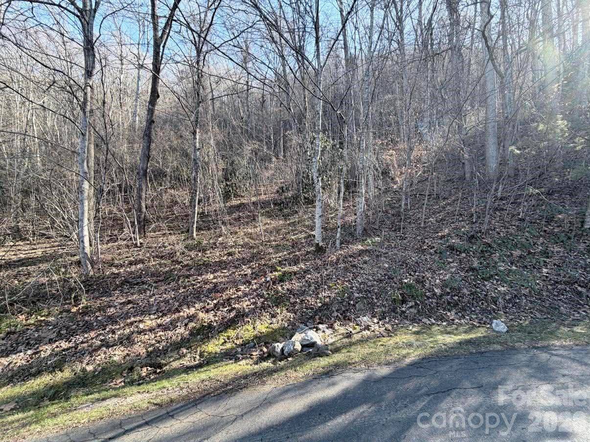 76 View Ridge Pkwy #7, Leicester, NC 28748