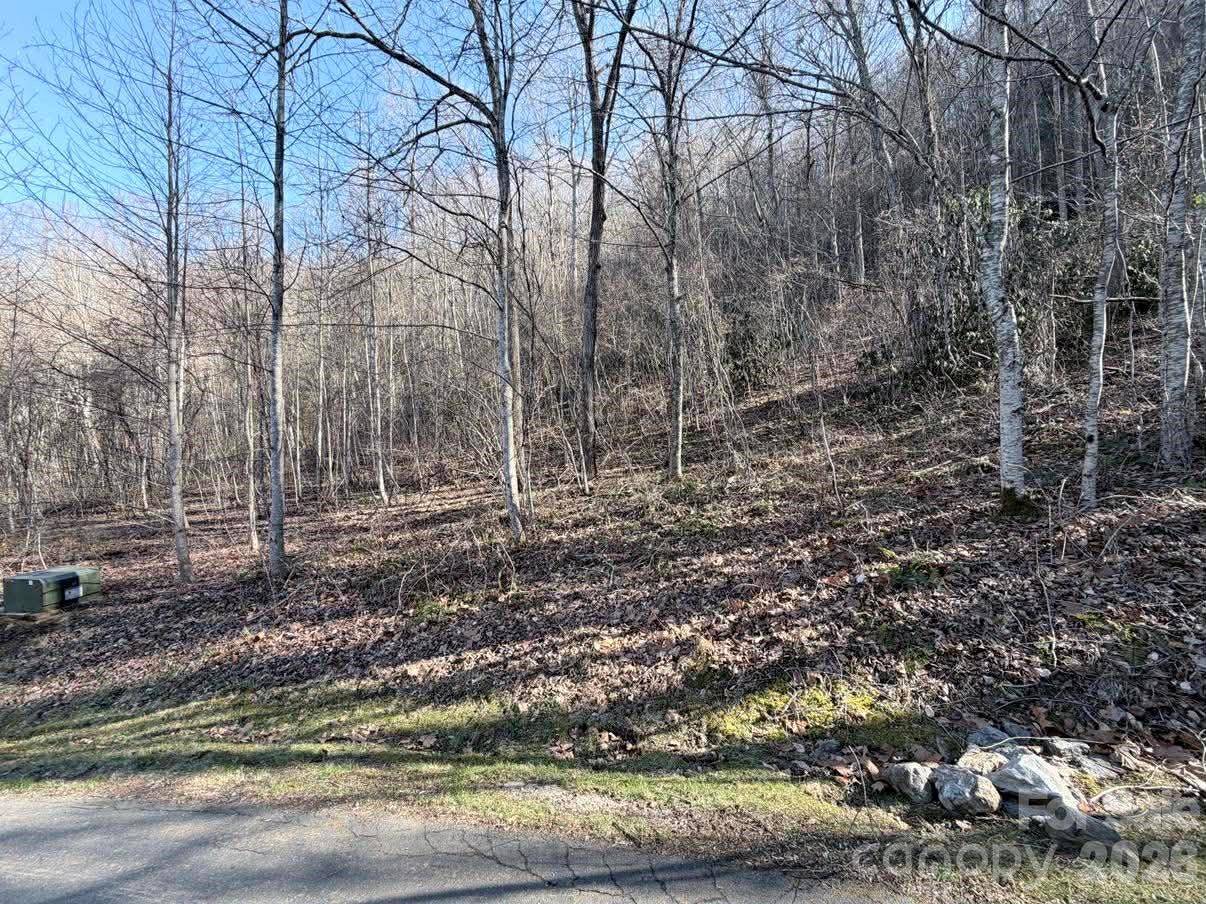 76 View Ridge Pkwy #7, Leicester, NC 28748