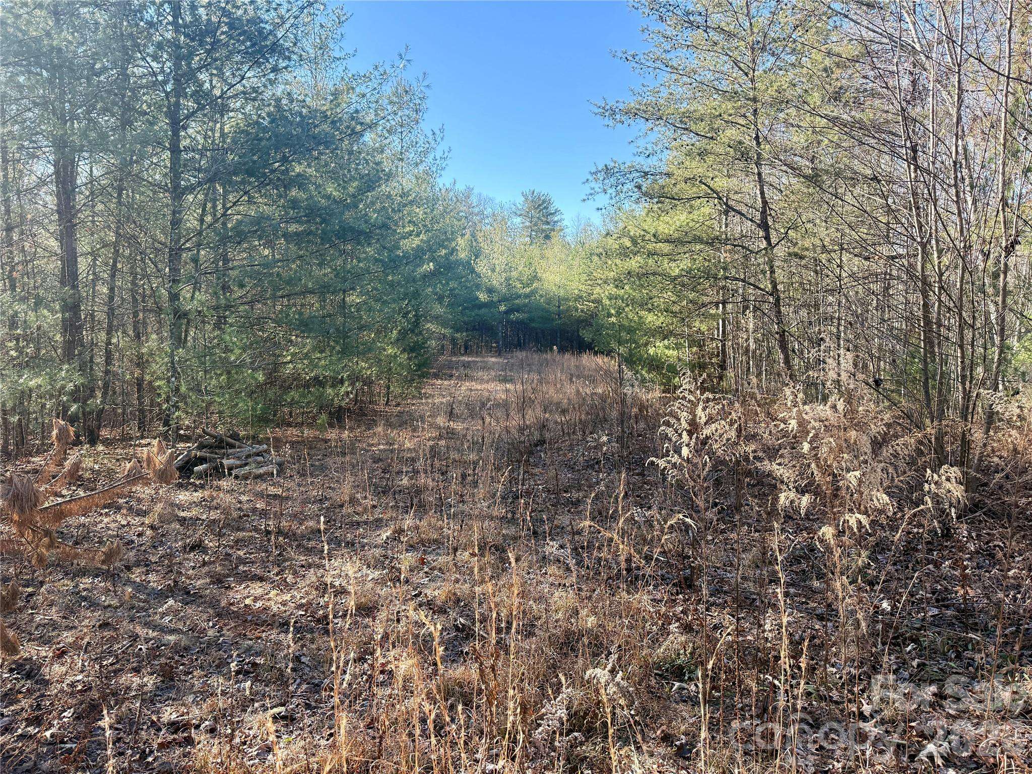2095 Hitching Post TRL #G45, Lenoir, NC 28645