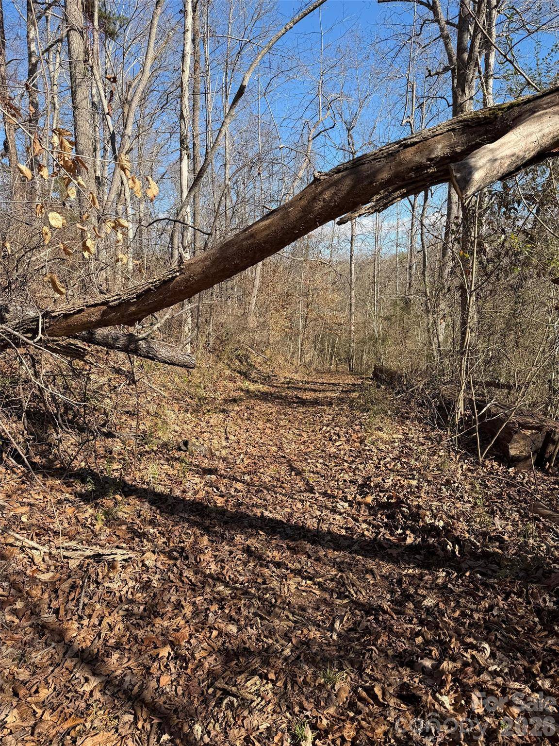 000 E Rambling Creek RD #11, Tryon, NC 28782