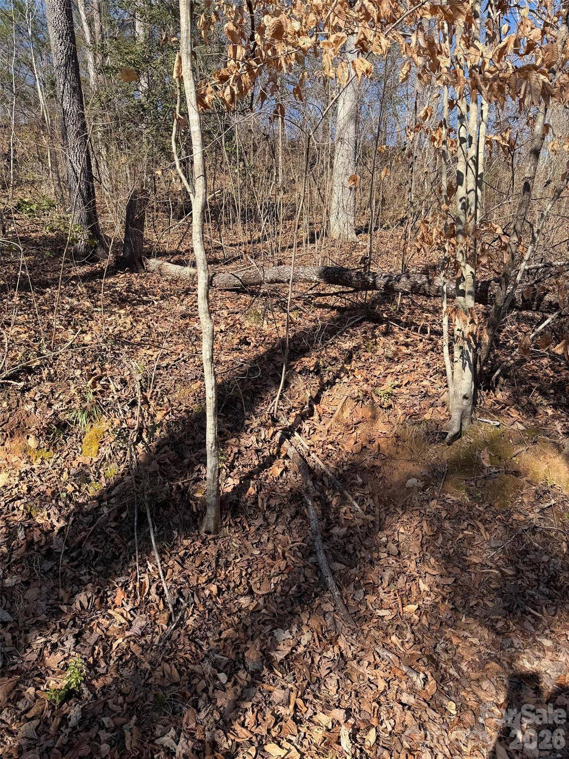 000 E Rambling Creek RD #11, Tryon, NC 28782